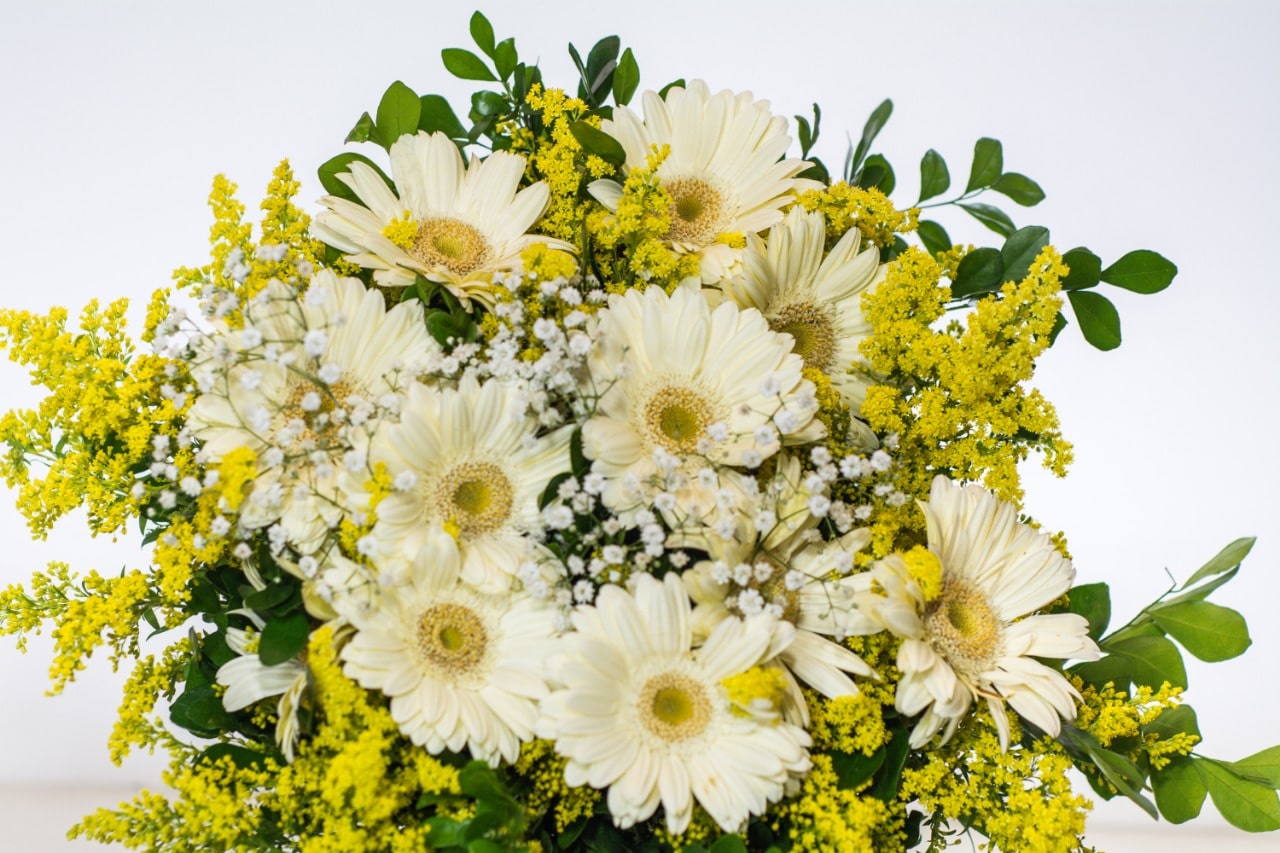 WhatsApp-Image-2023-10-12-at-12.48.14-1-min