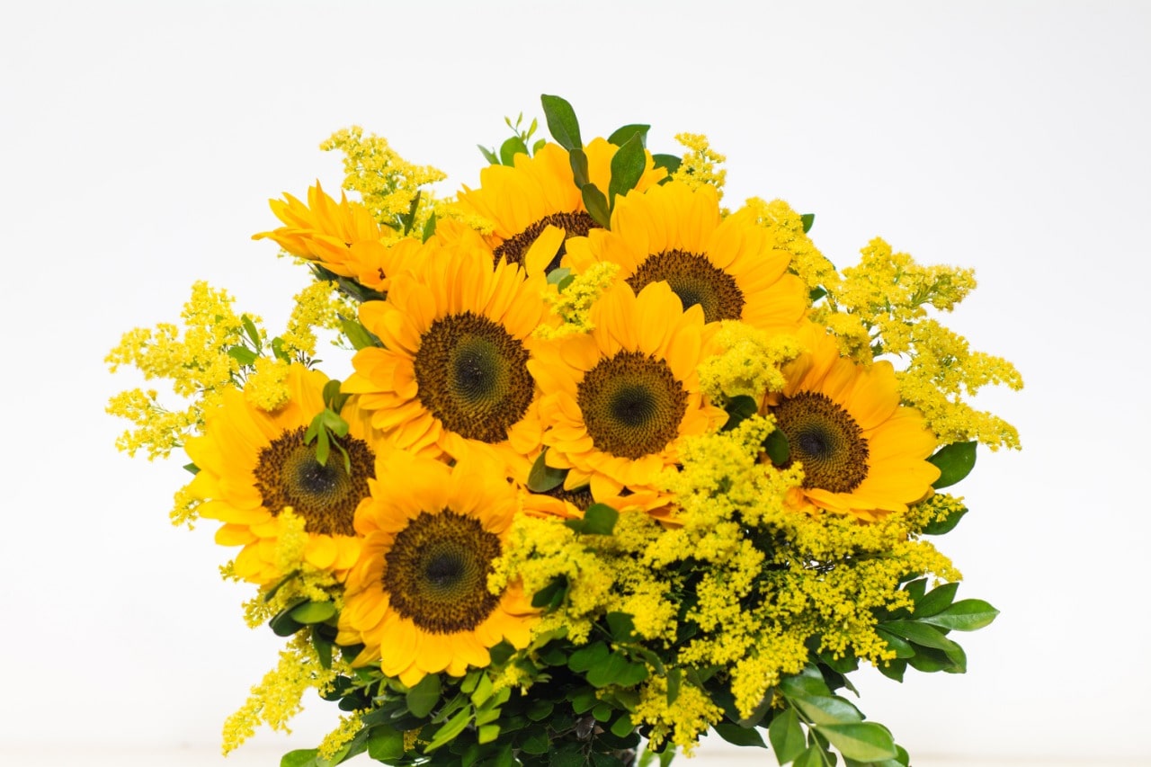 WhatsApp-Image-2023-10-12-at-12.48.14-min