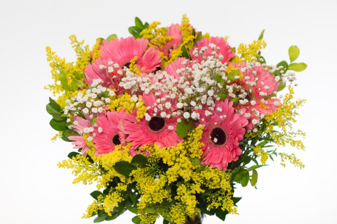 WhatsApp-Image-2023-10-12-at-12.48.17-min