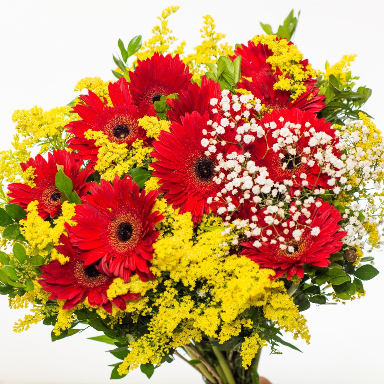 WhatsApp-Image-2023-10-12-at-12.48.18-min