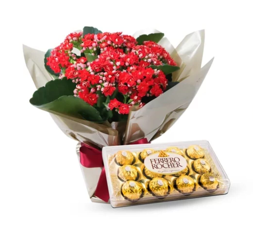 WhatsApp Image 2023-10-12 at 12.48.26 (2)